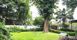 SR:457 House for​ rent: 4 Bedrooms with en-suite bathroom